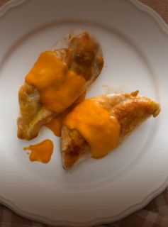 Filés de Frango ao Molho de Laranja, Cenoura e Gengibre
