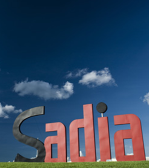 Nasce o Instituto Sadia